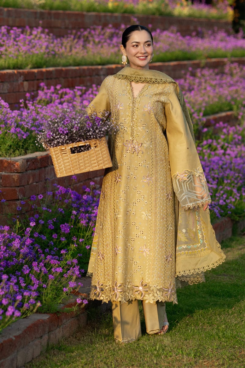 Rang rasiya 3pc lawn embriodery N49